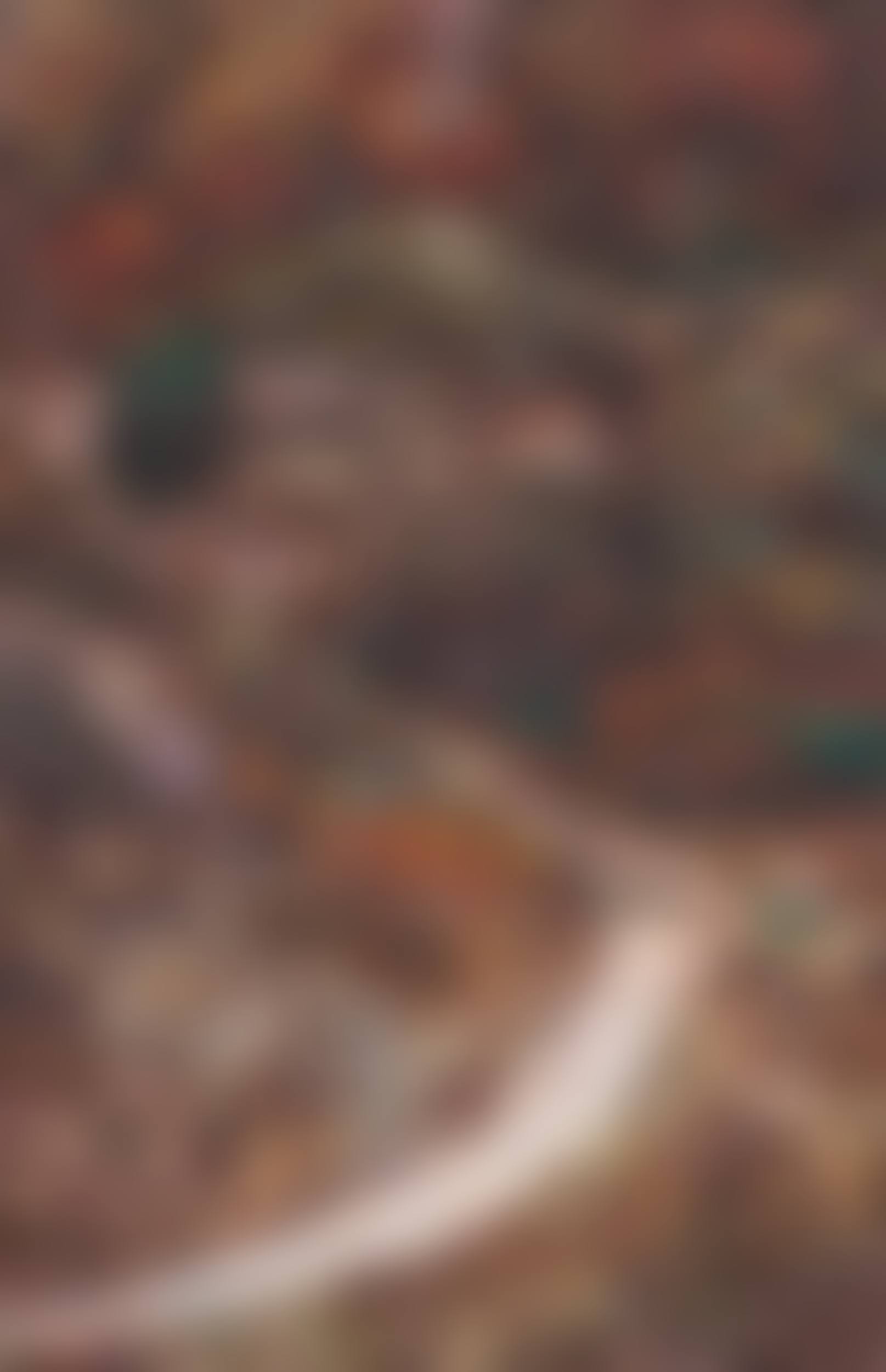 Autumn Road (preview)