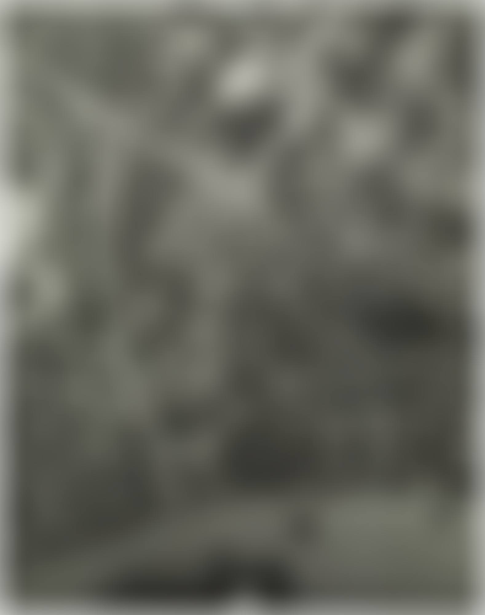14. FEB 1945 (preview)