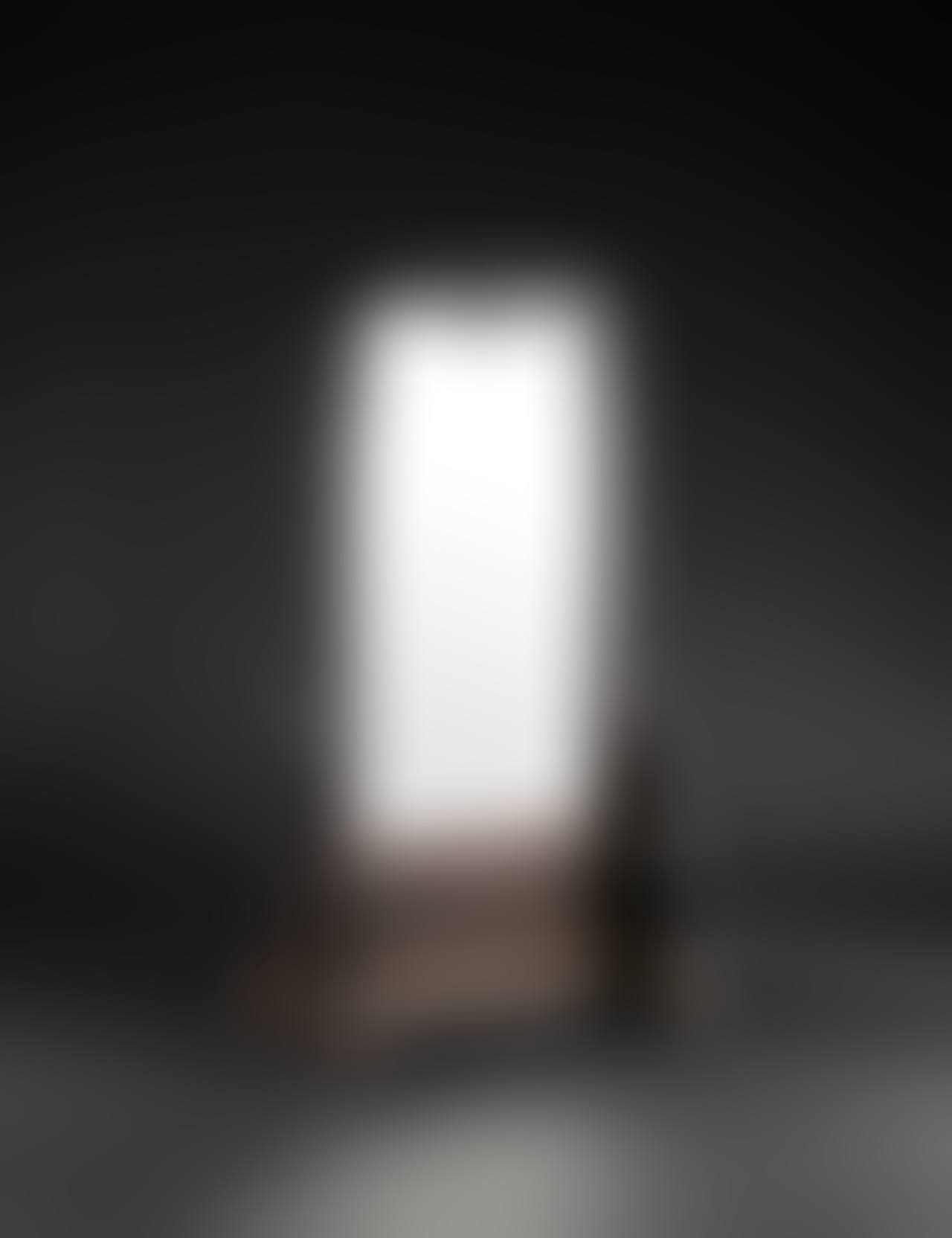 A FINE ZITAN MIRROR (preview)
