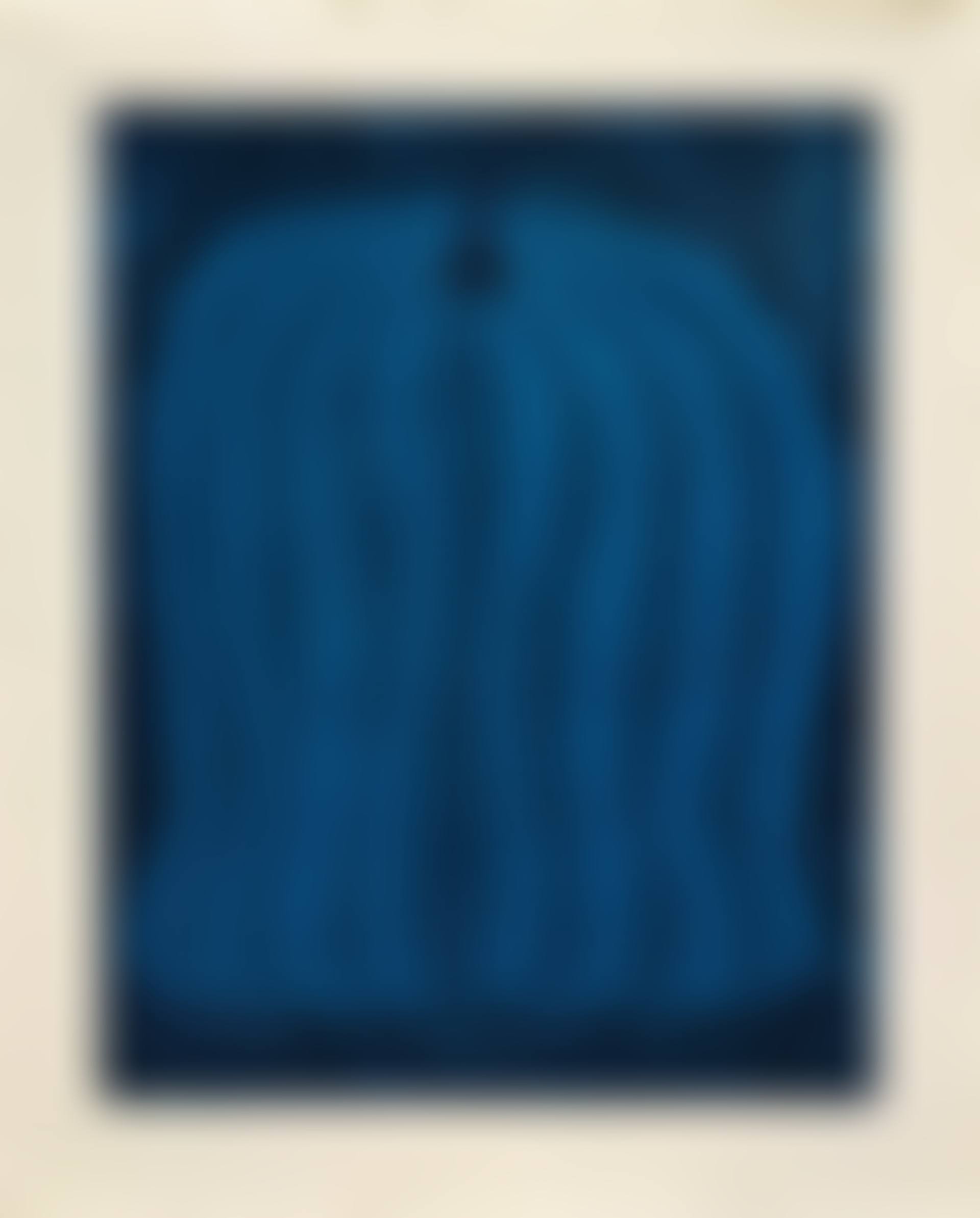 Pumpkin-Blue (preview)