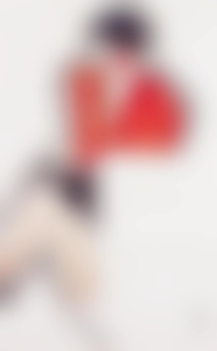 A Female Painter (preview)