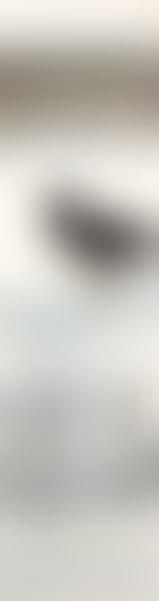 Two Ducks (preview)