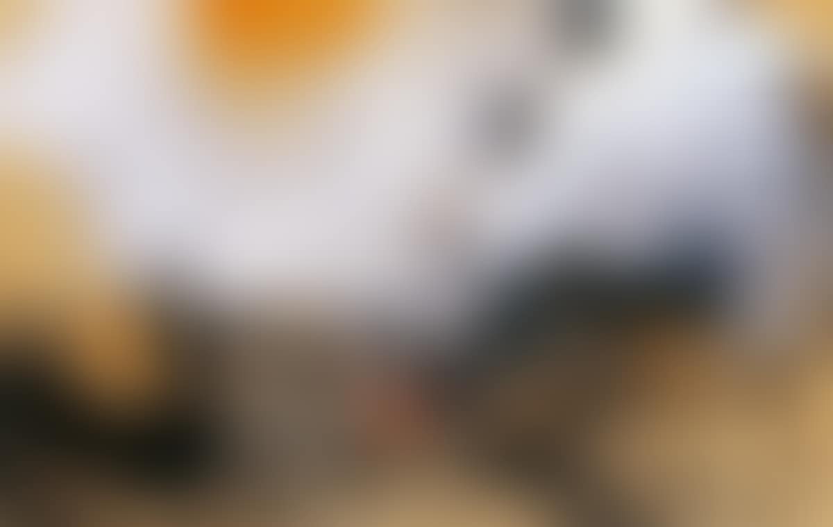 Abstract (preview)