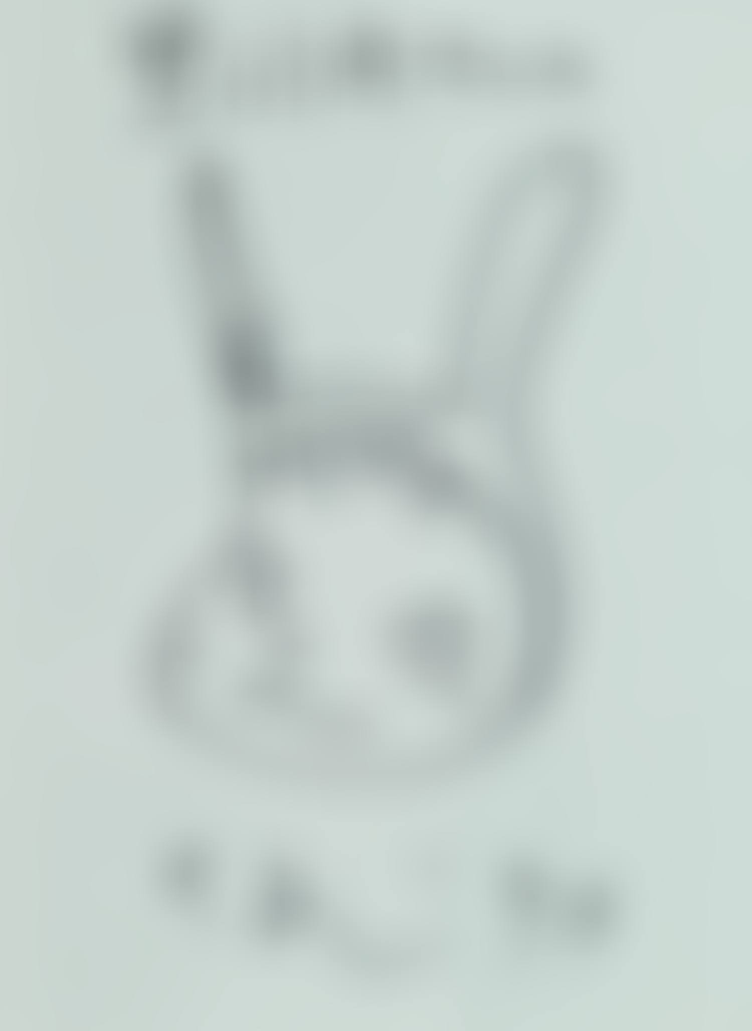 To Mr. Kurokawauchi (preview)