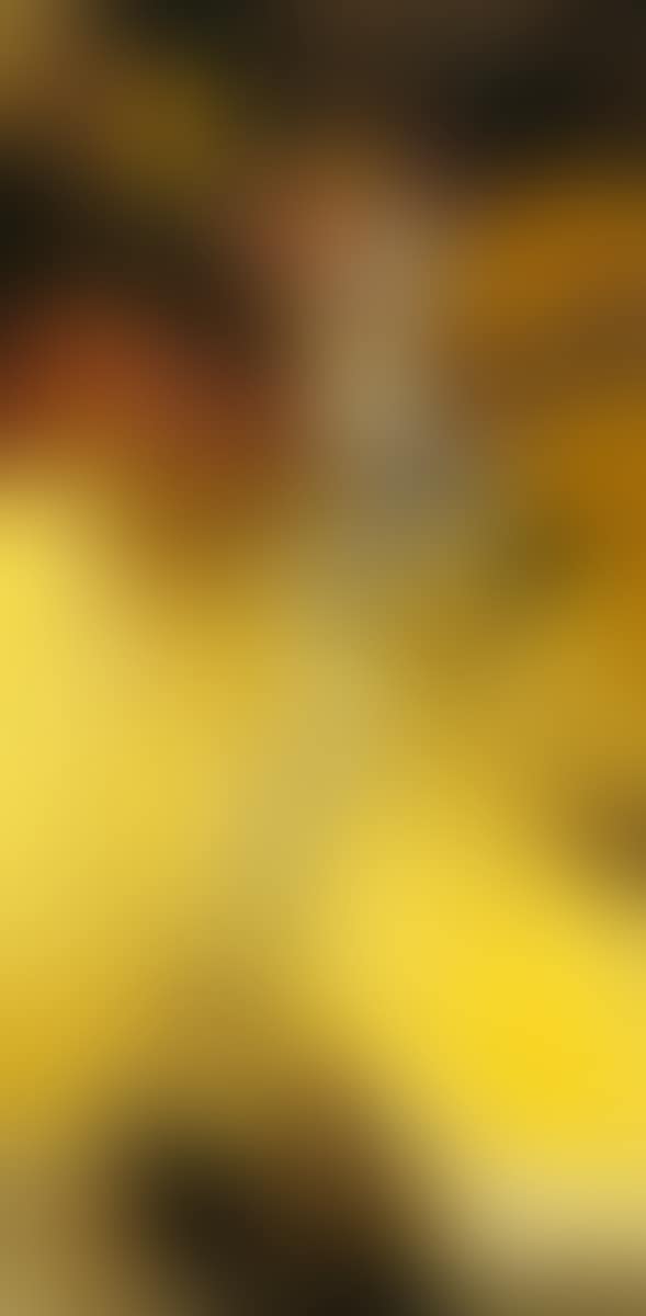 5.12.1969 (preview)