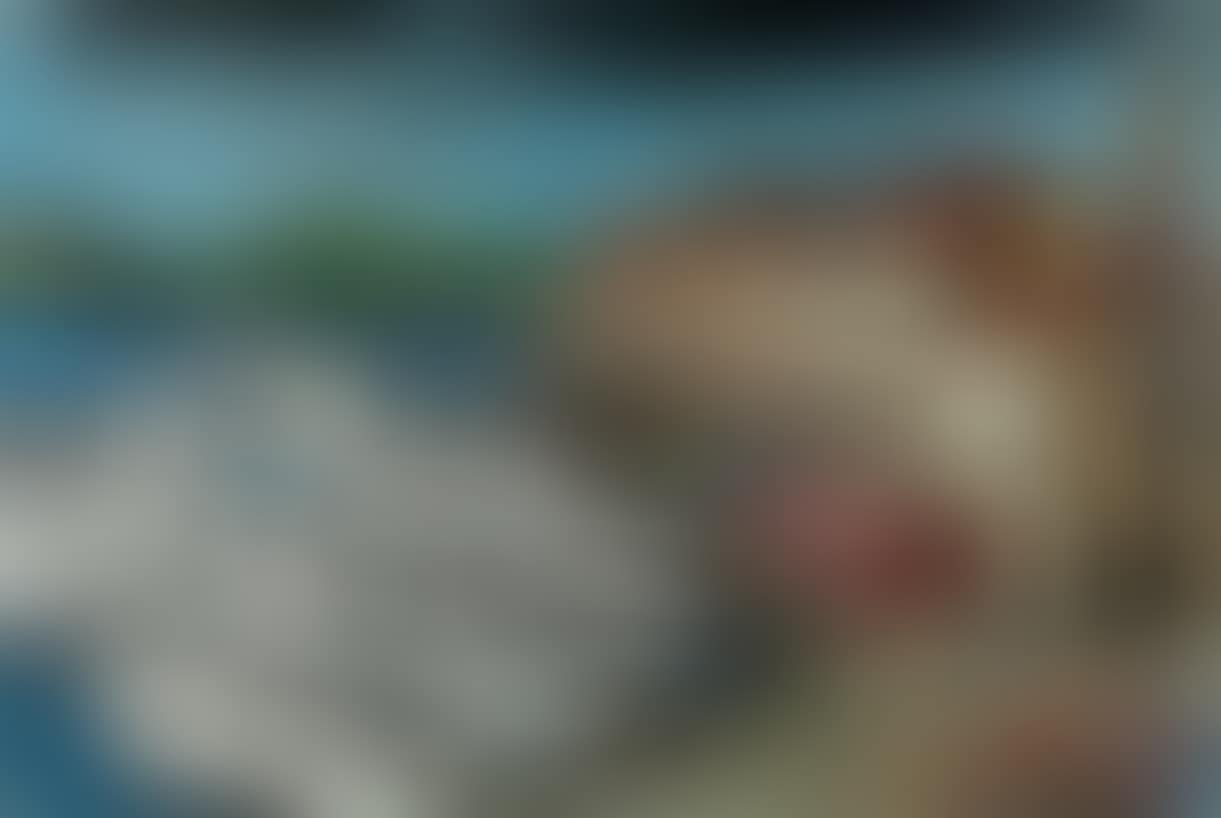 Saint Tropez, Le Port (preview)