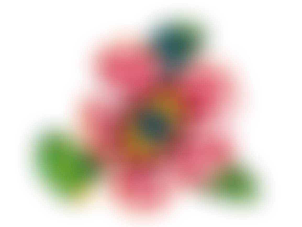 Flowers - That Bloom at Midnight (preview)