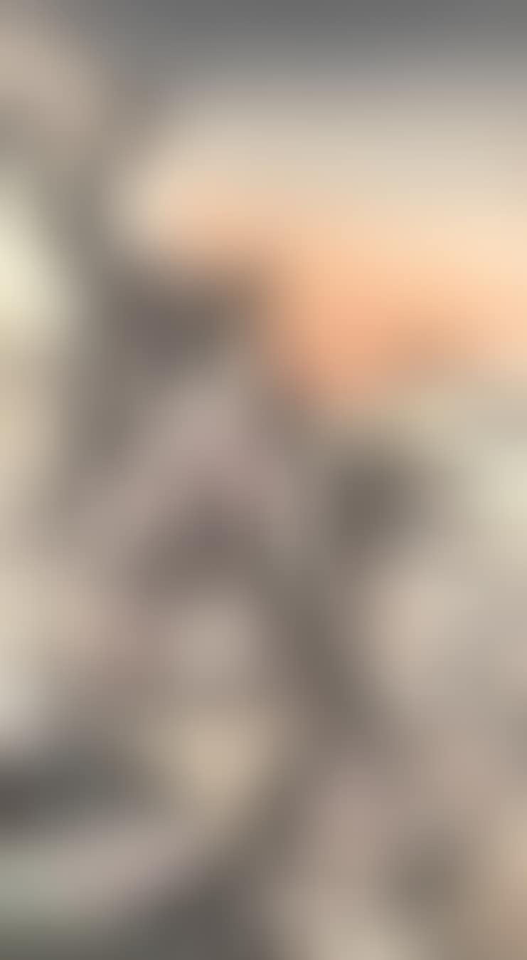 Garden of the Peaches of Immortality (preview)