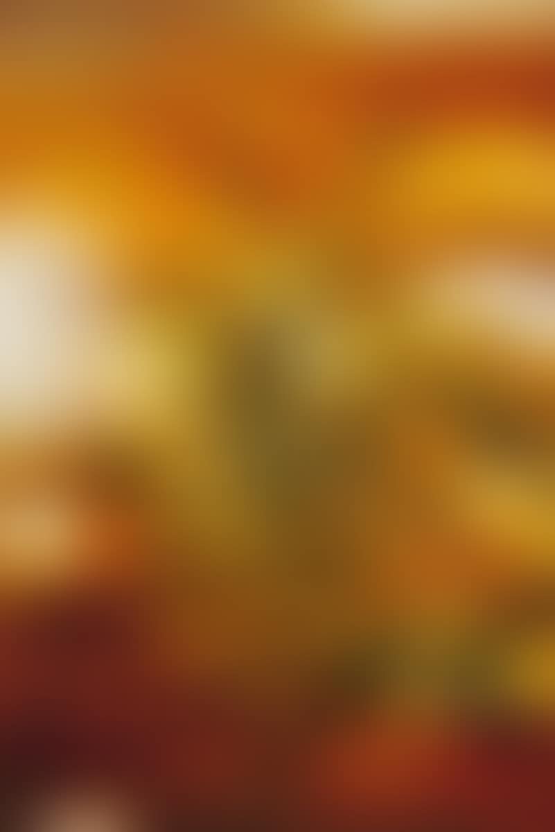 25.9.69 (preview)