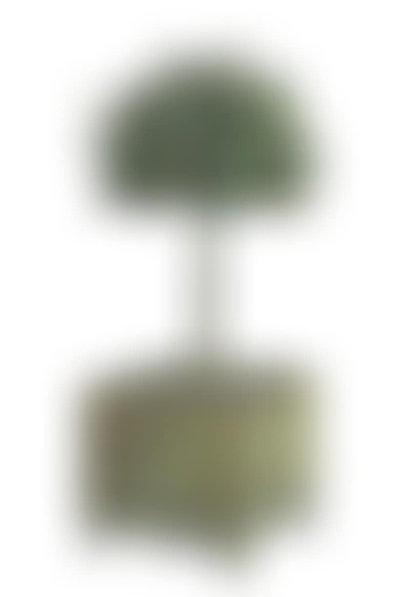 Oranger (preview)