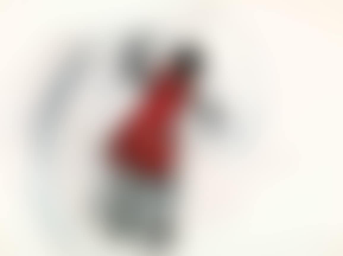 Red Dress (preview)