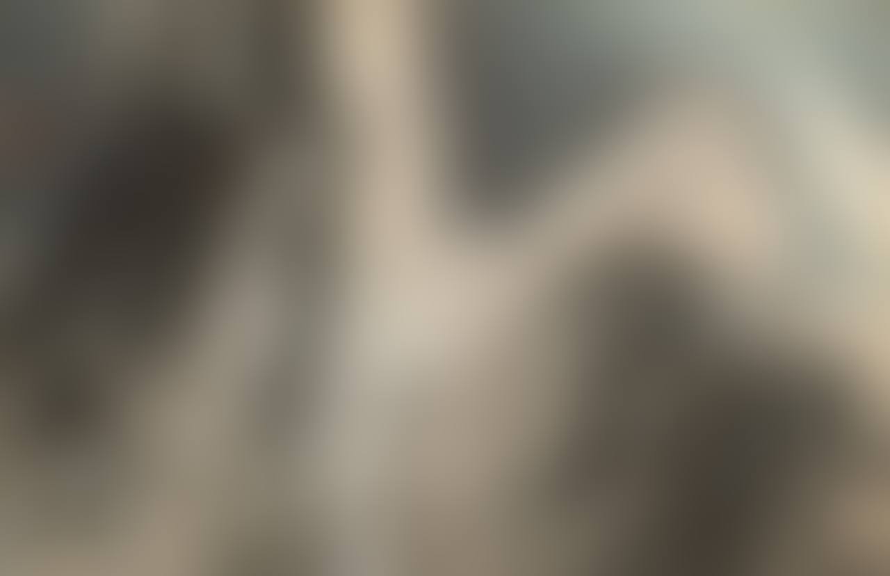Flowing Rivers and Mountains (preview)