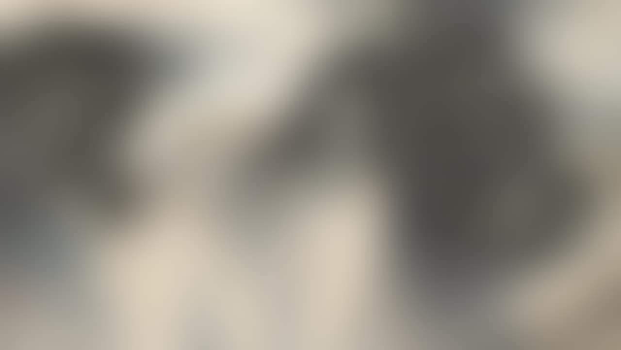Down to the Water (preview)