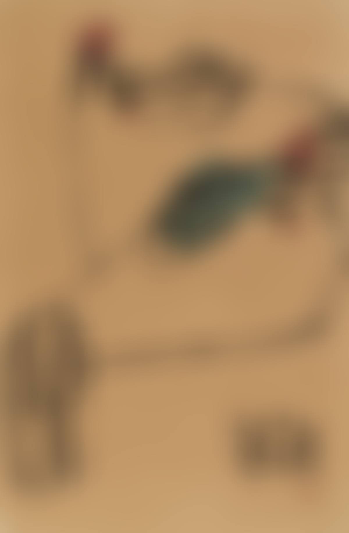 Chickens (preview)