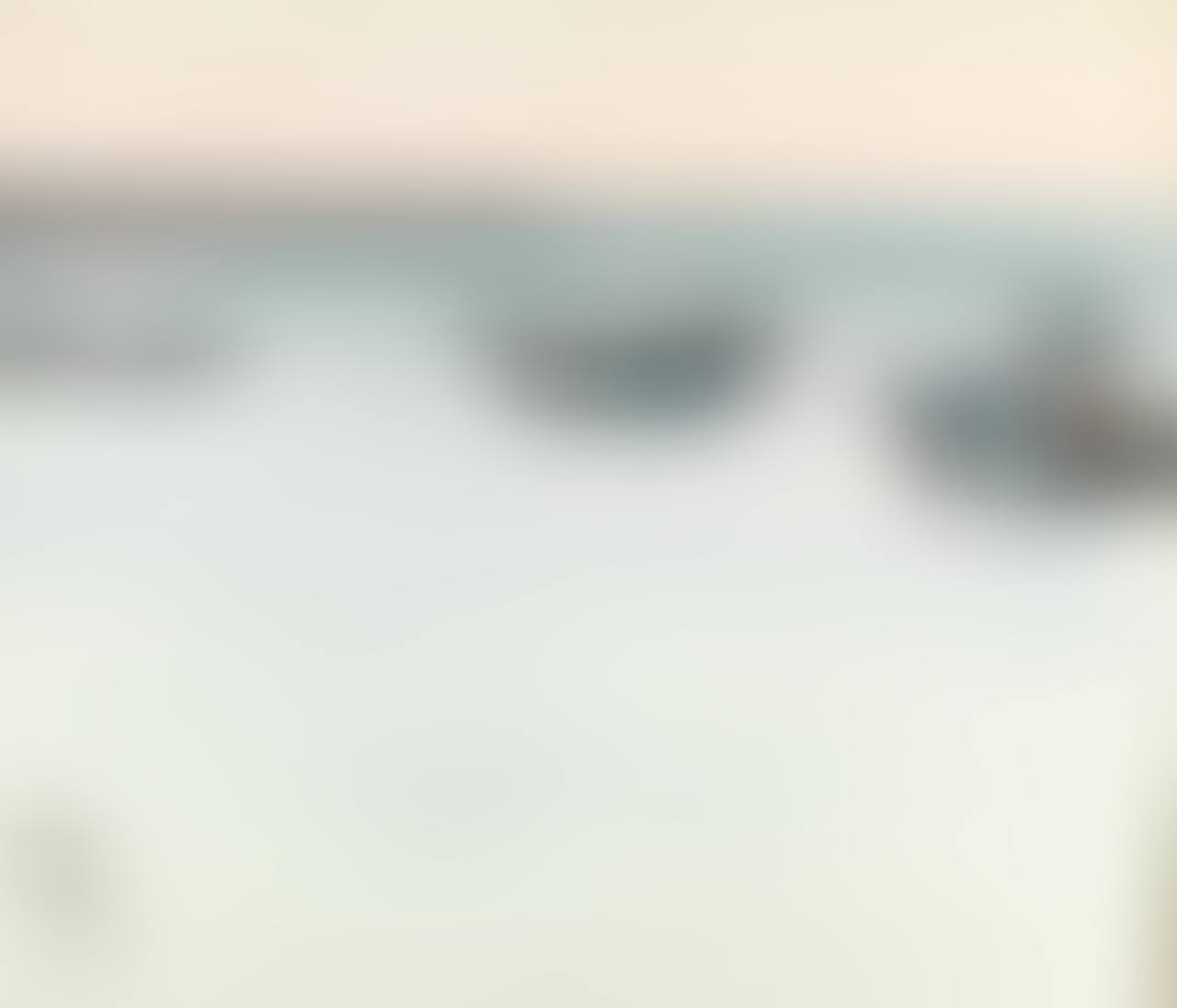 Fishing Boats (preview)