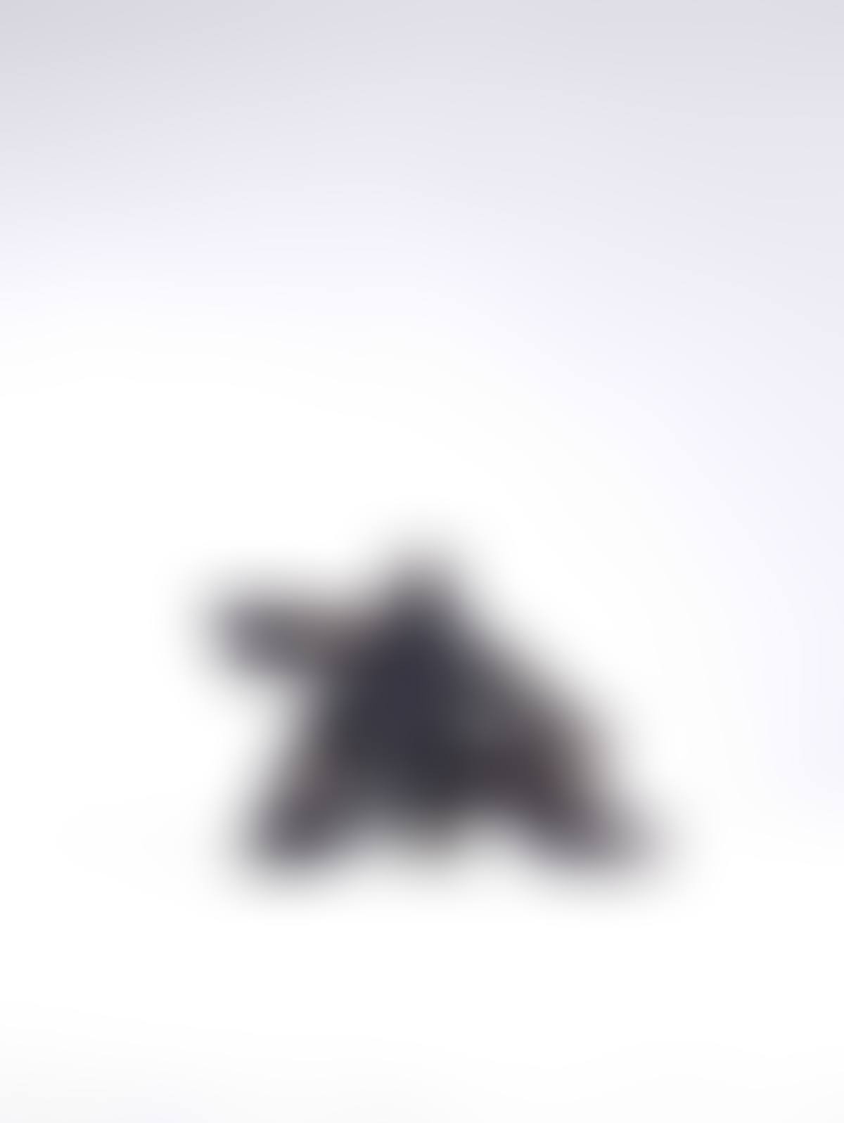 Taichi Series – Single Whip (preview)