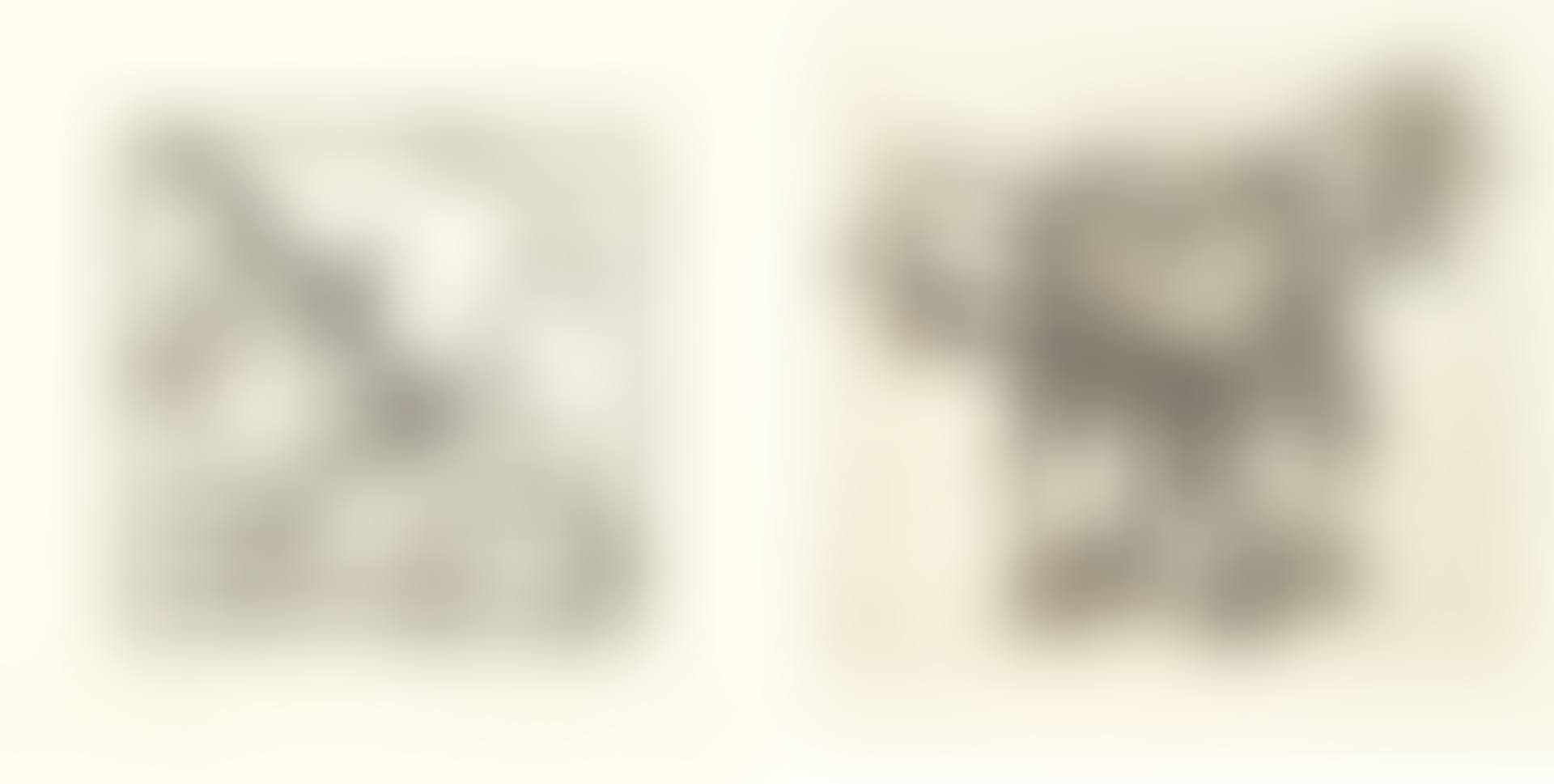 Untitled (a set of 2) (preview)