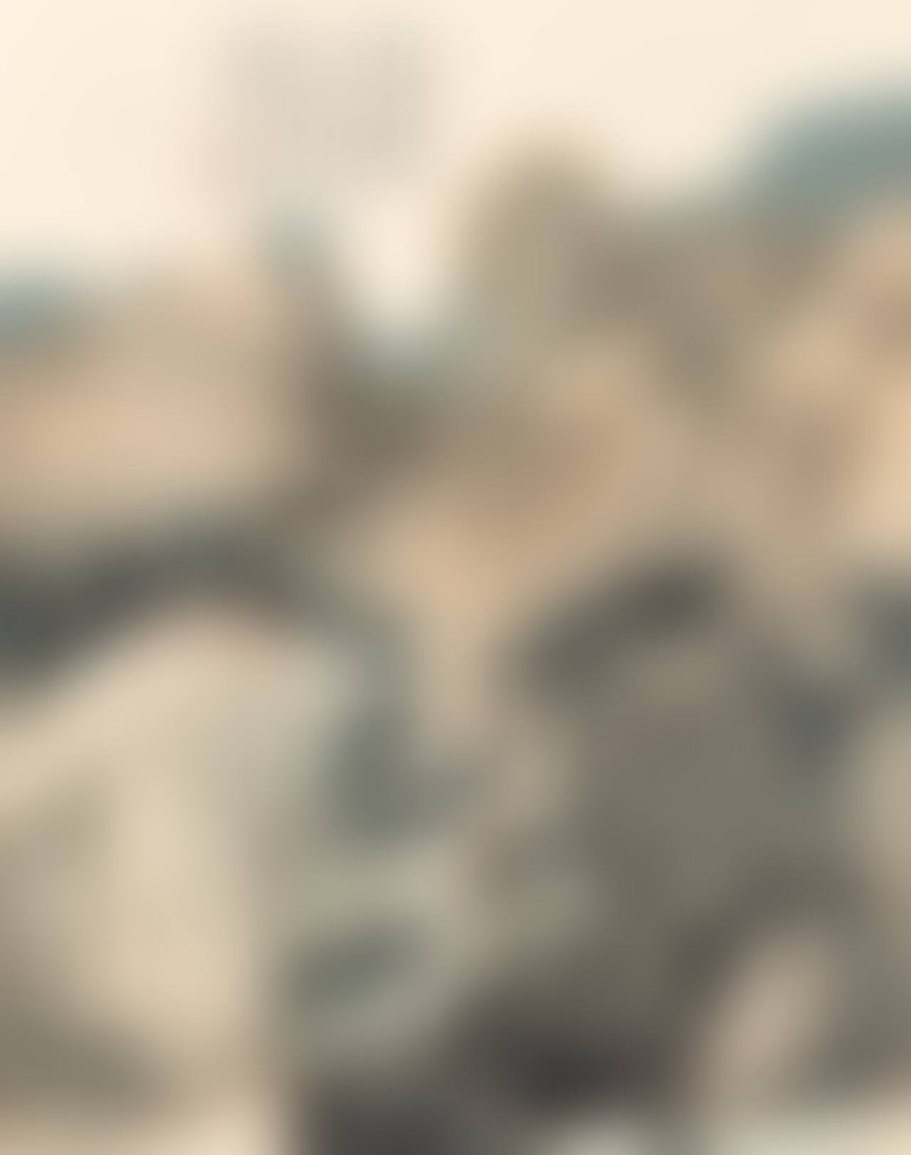 Landscape (preview)