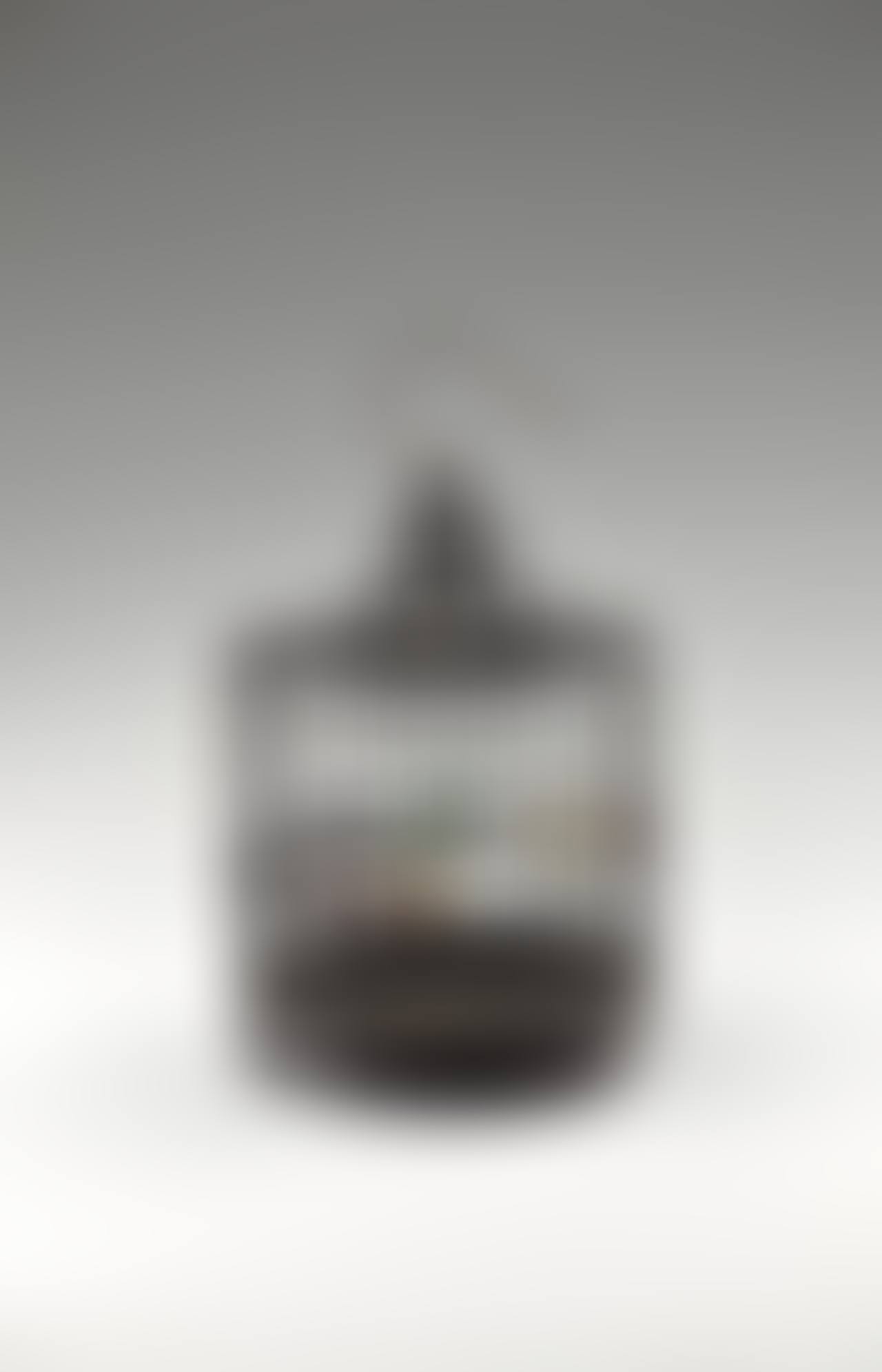 ANTIQUE BIRDCAGE (preview)