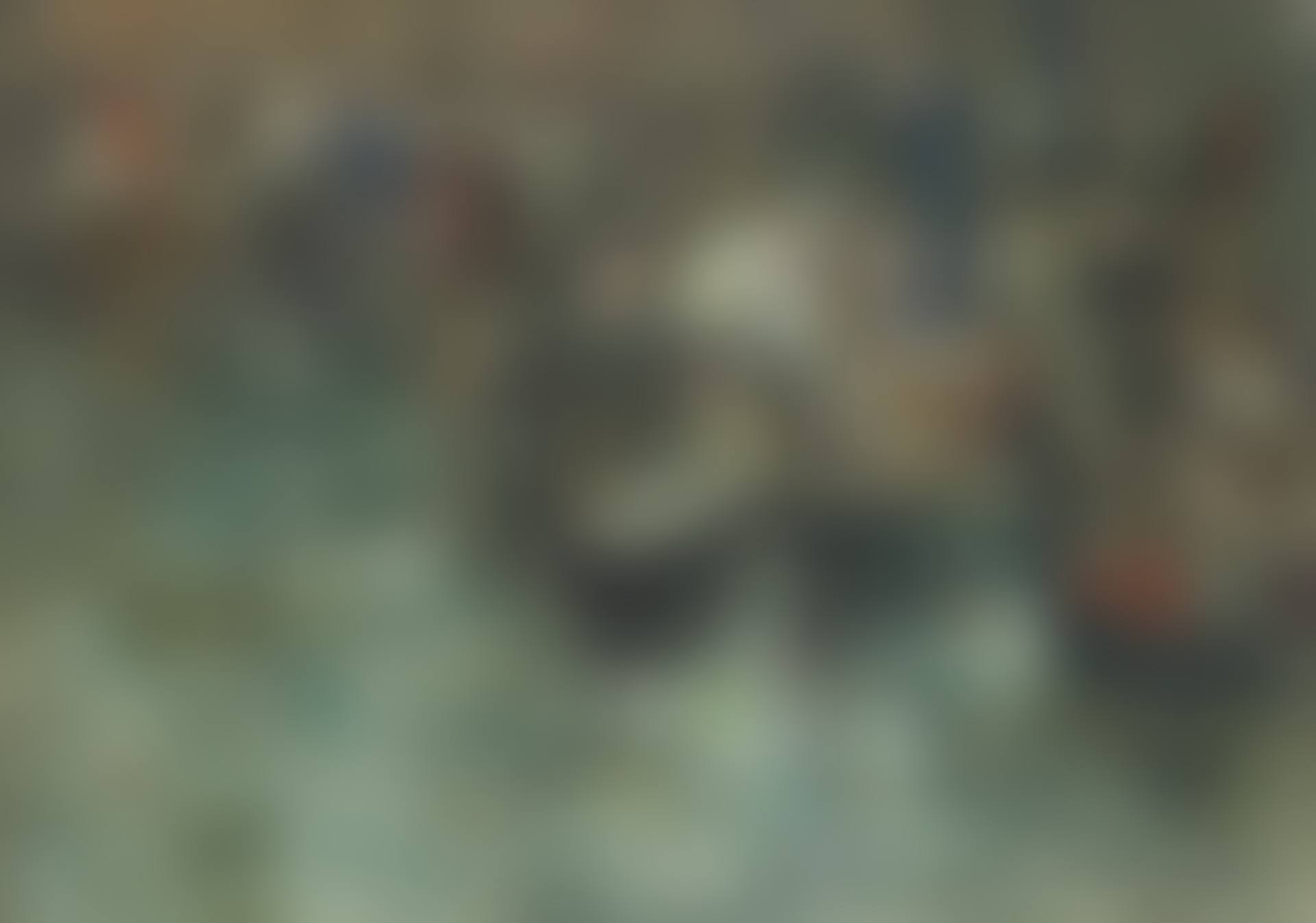 Venice, gondoliers (preview)