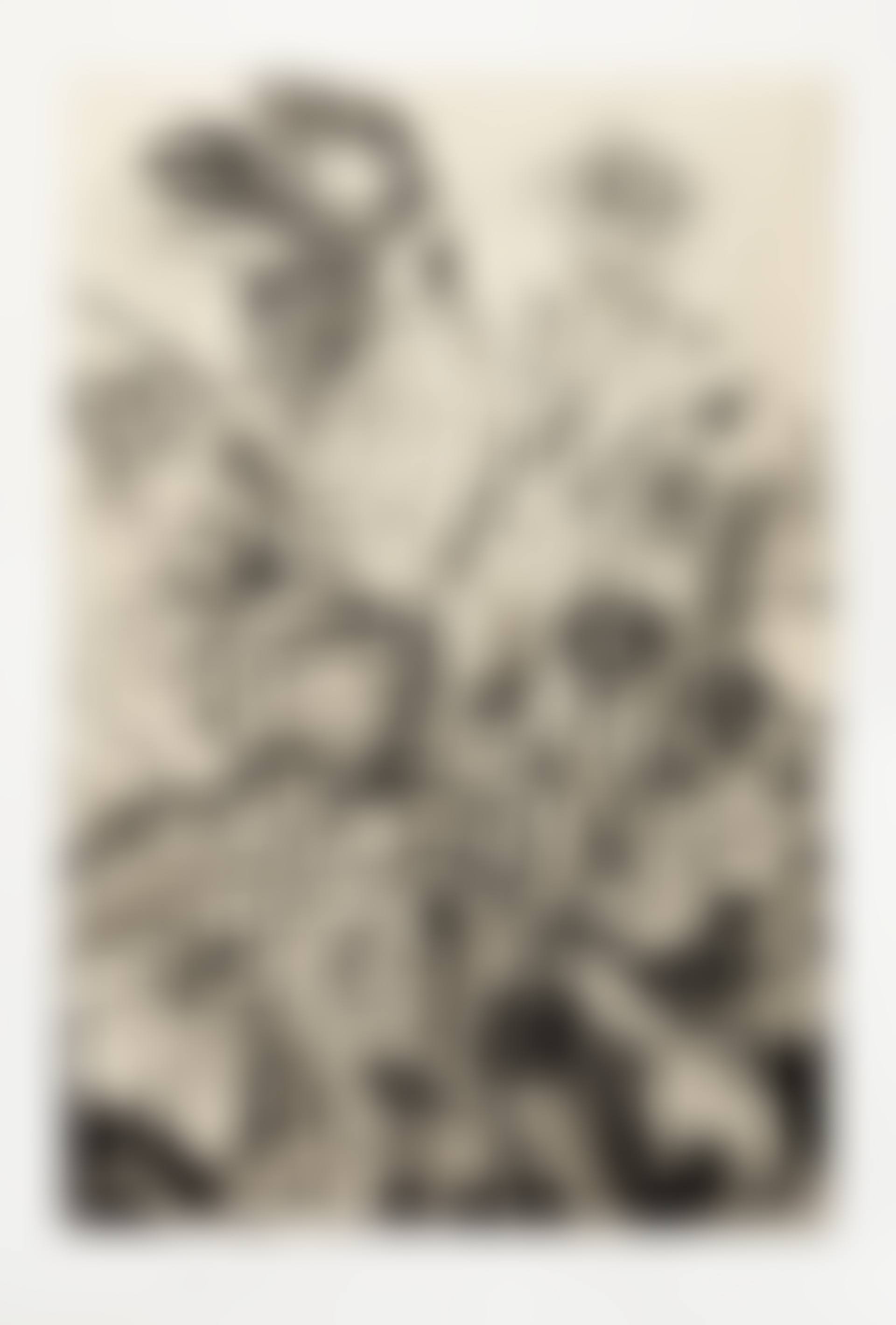 The Temple of Flora (D'Oench & Feinberg 177a-cc) (preview)