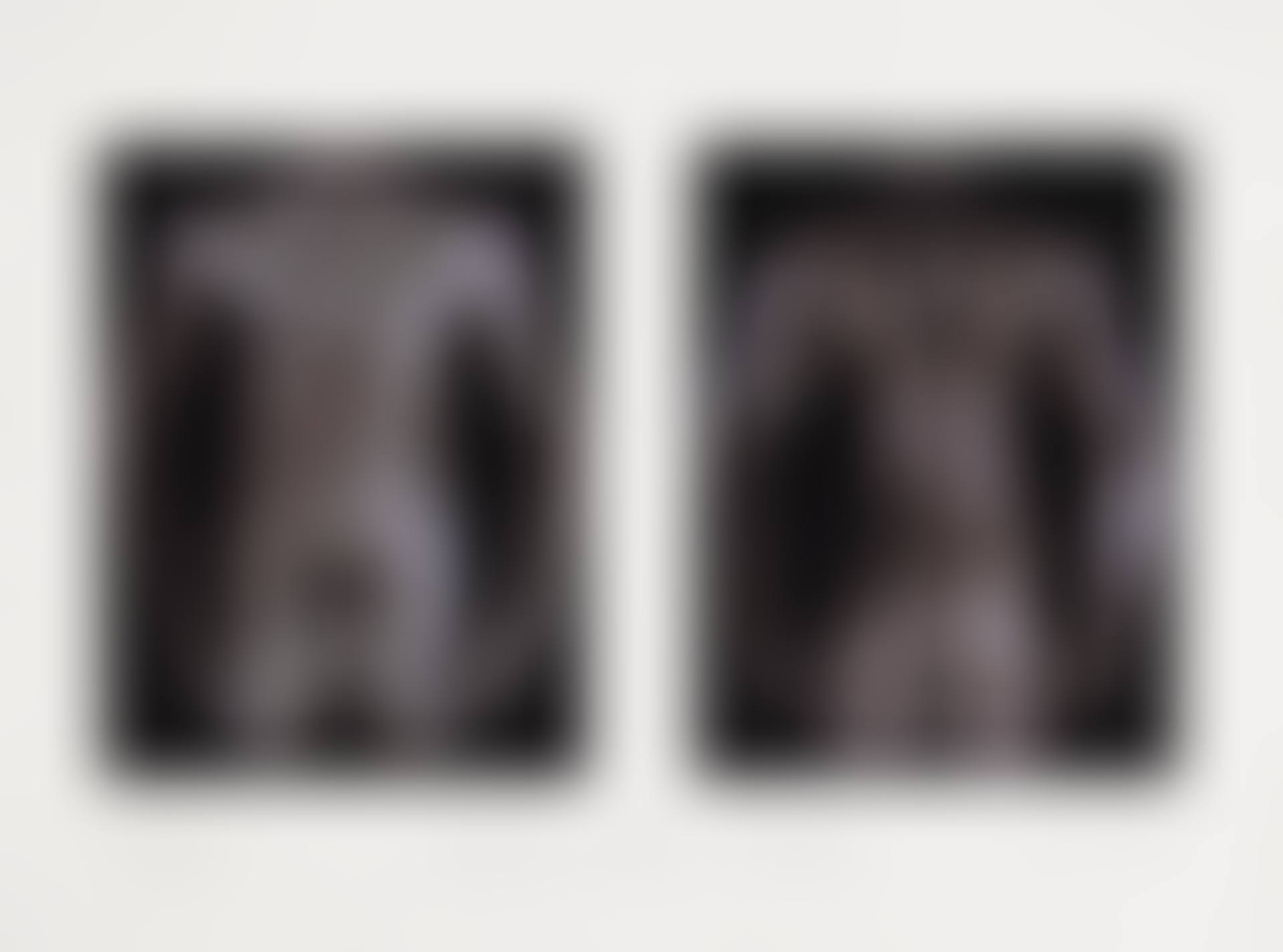 Torso Diptych (preview)