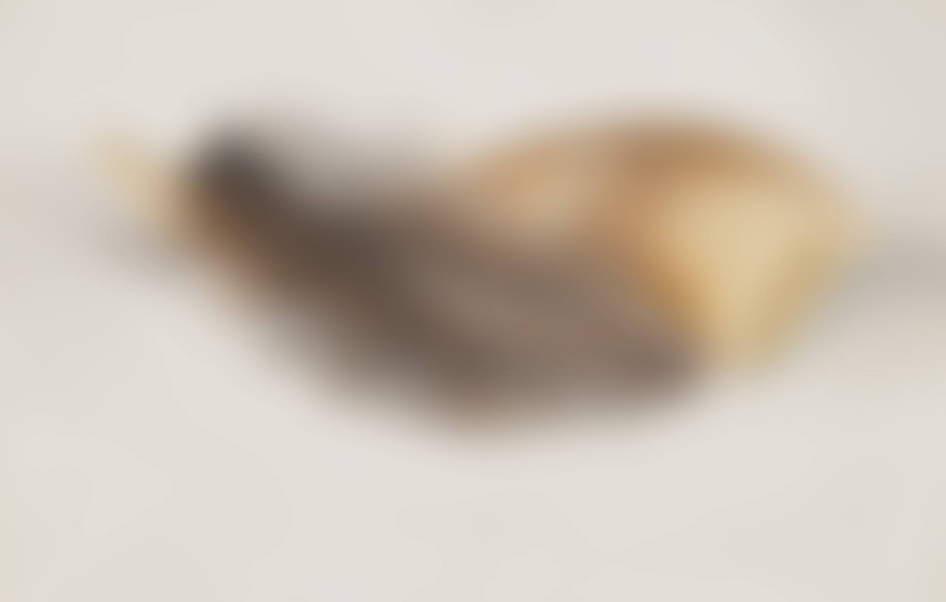 Horn and Feather (preview)