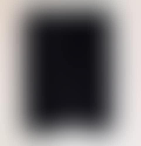 WEGBEREITER ZUR MODERNEN KUNST (preview)