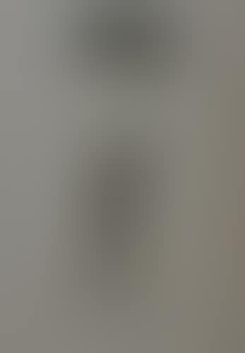 UNTITLED (preview)