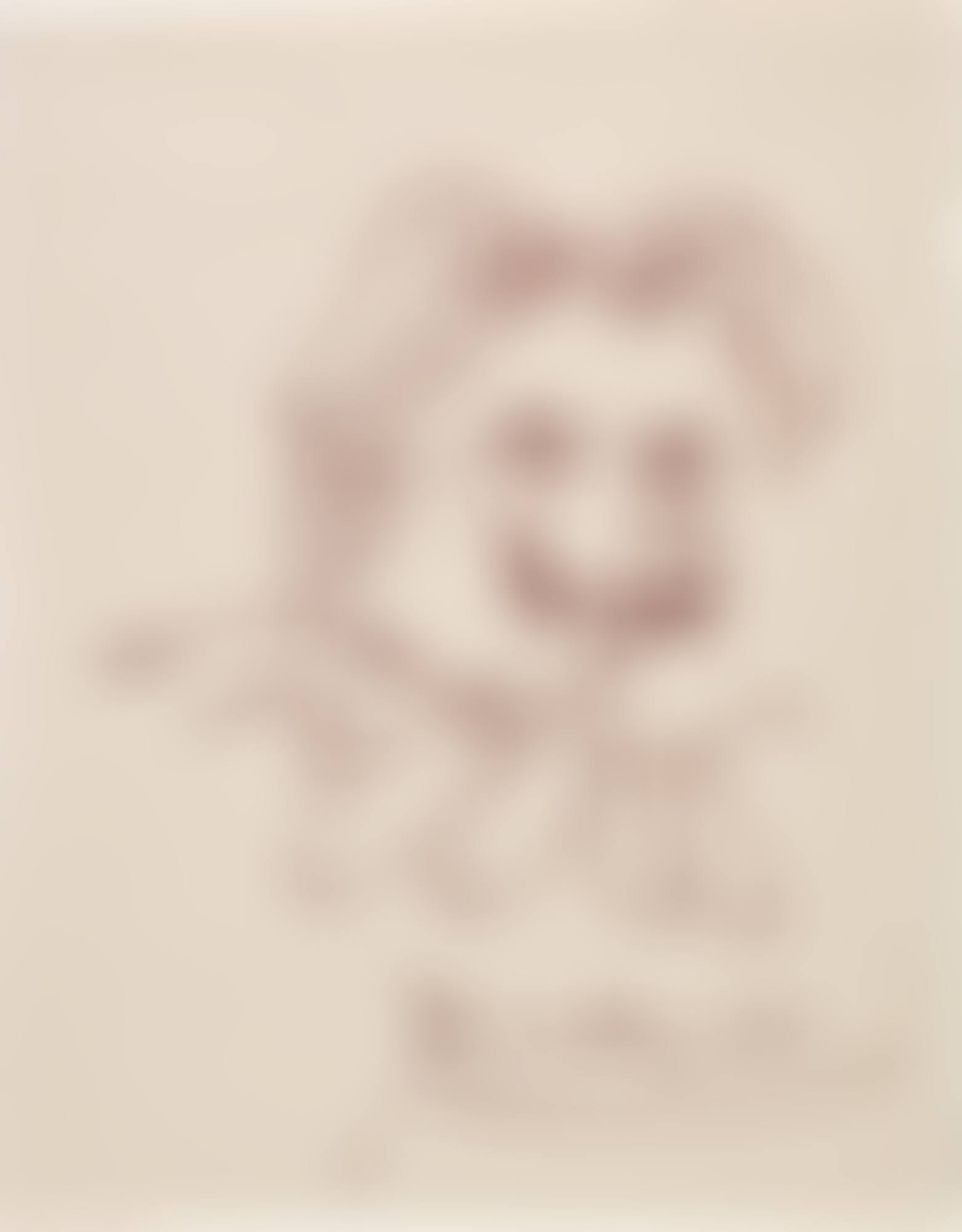 Portrait de Déodat de Séverac (preview)