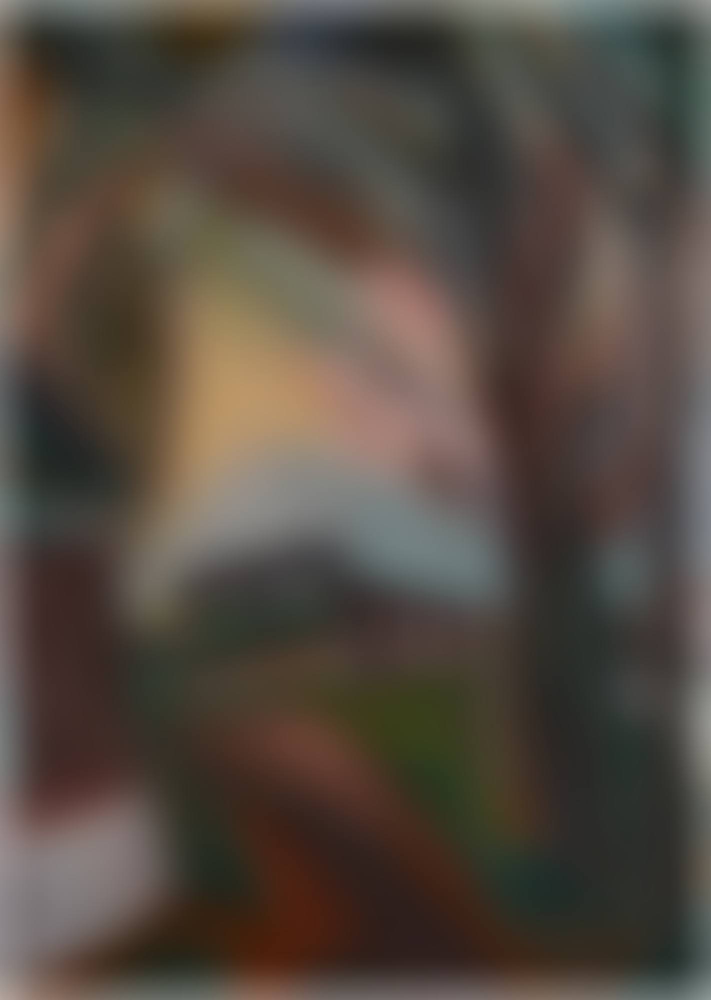 Landschap Bergen (Mountain Landscape) (preview)