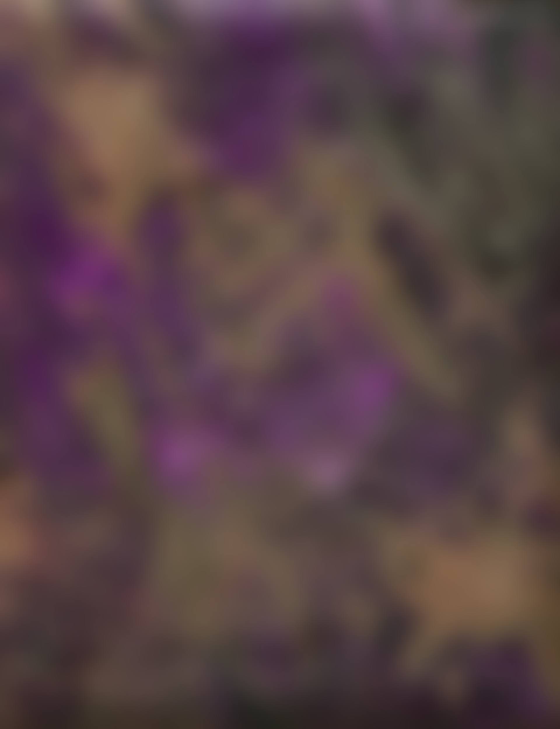 Impérial (preview)