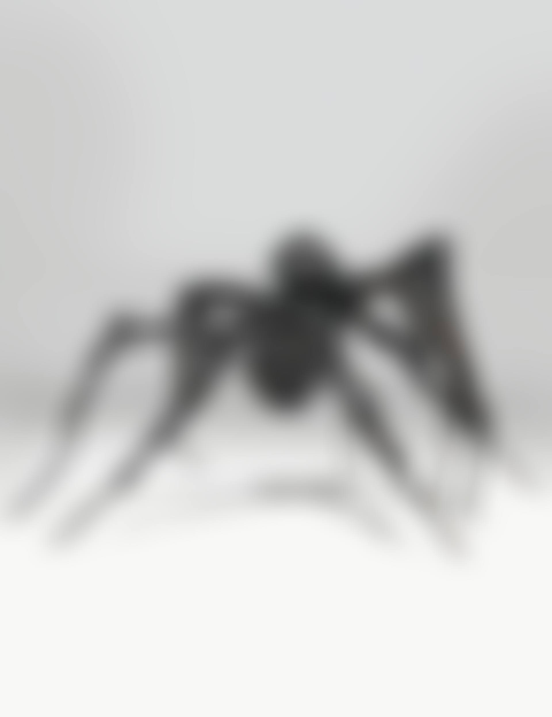 Spider V (preview)