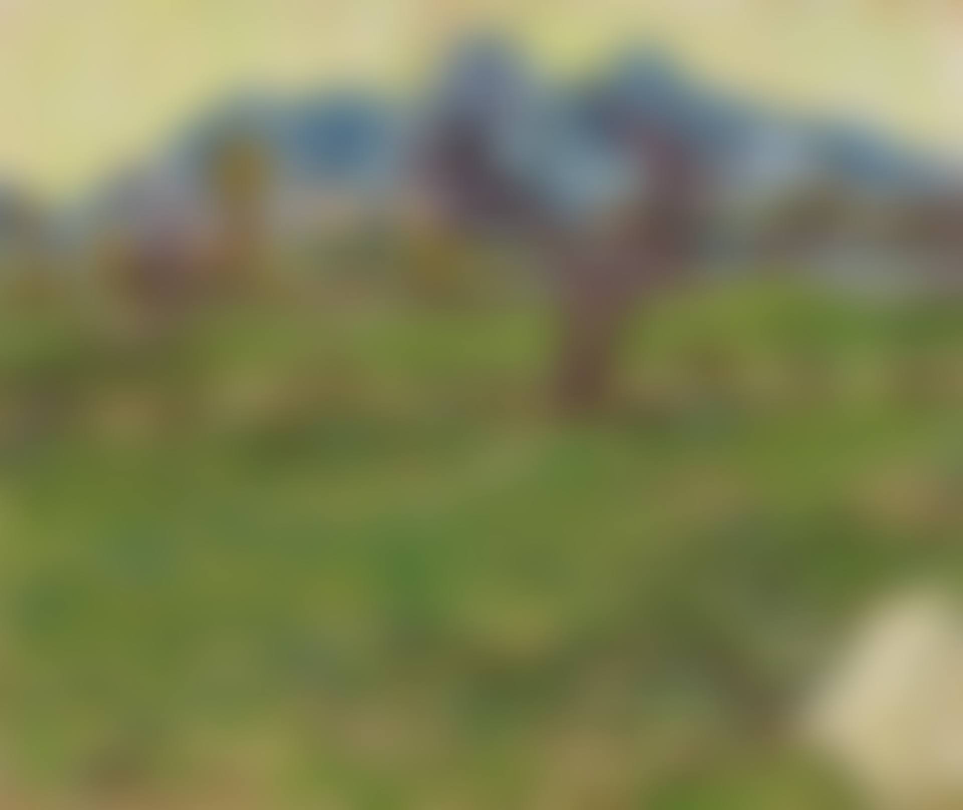 Champs près des Alpilles (preview)