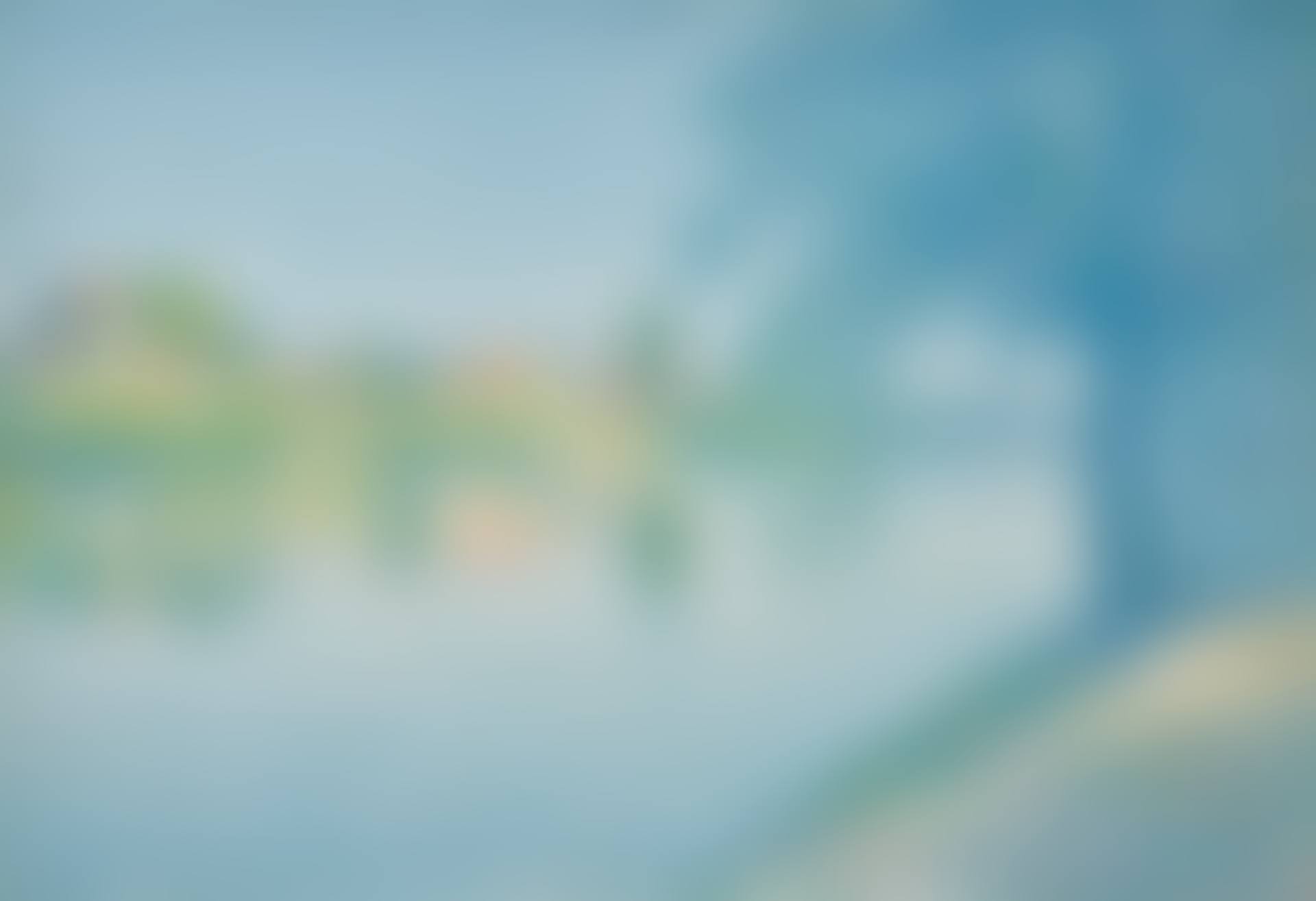 Vue des quais de la Garonne (preview)