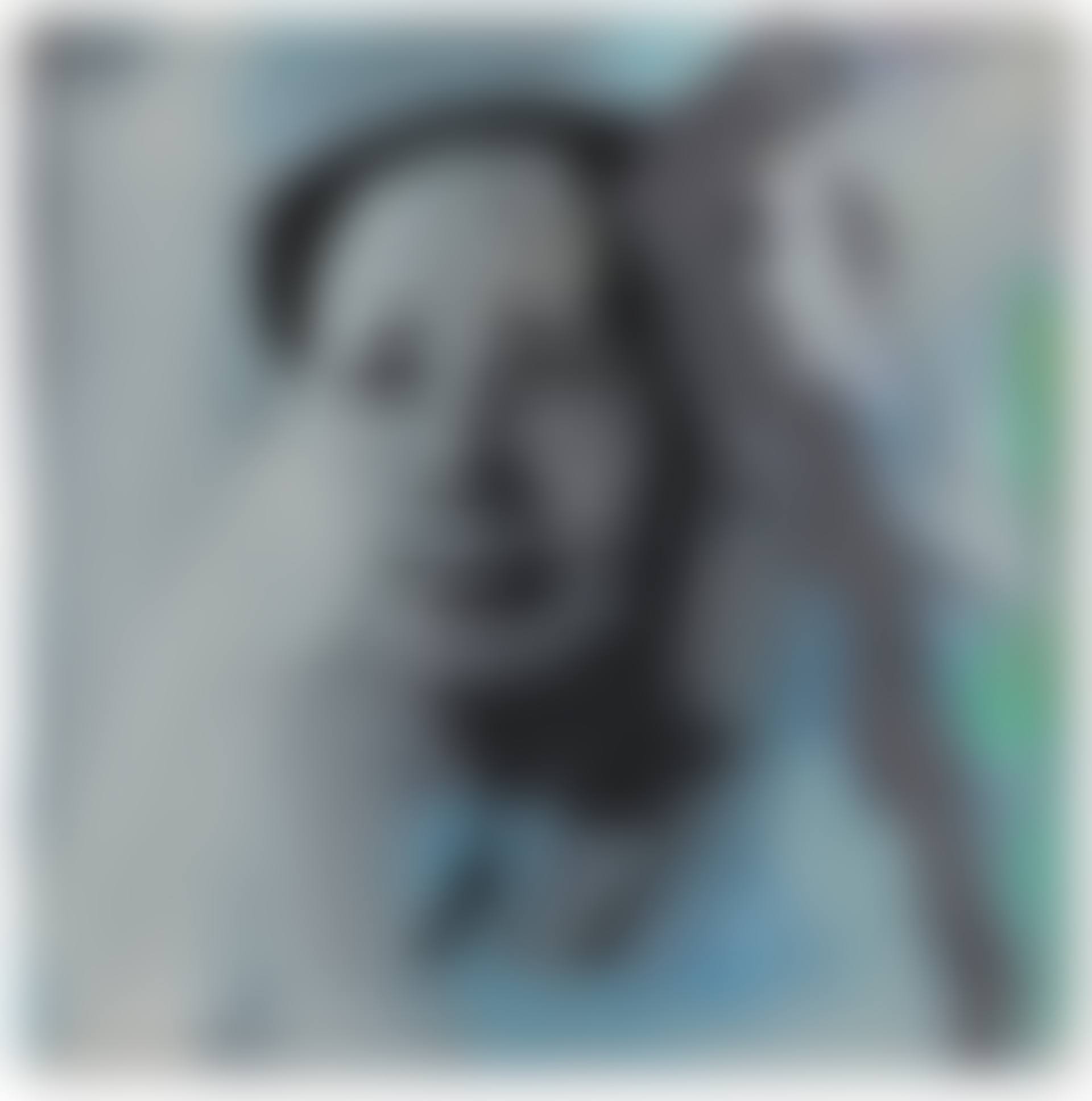 Andy Warhol, 'Mao' (preview)