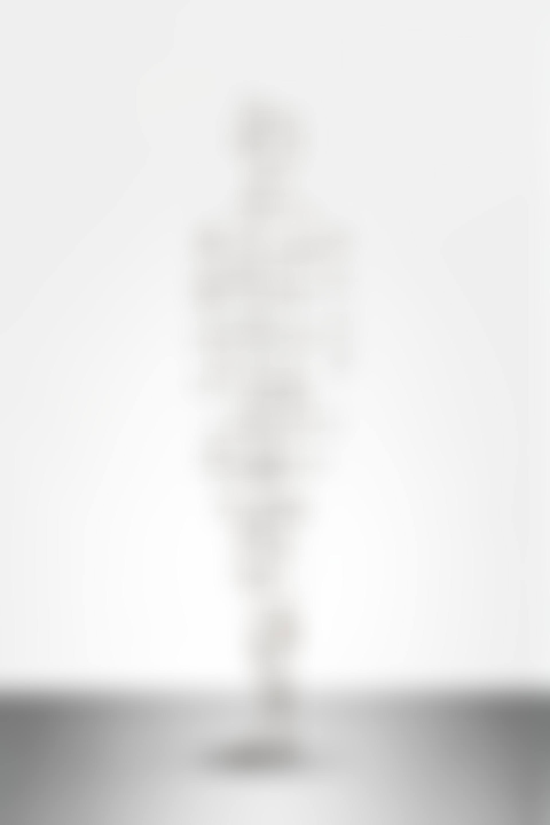 SCAFFOLD VII (preview)