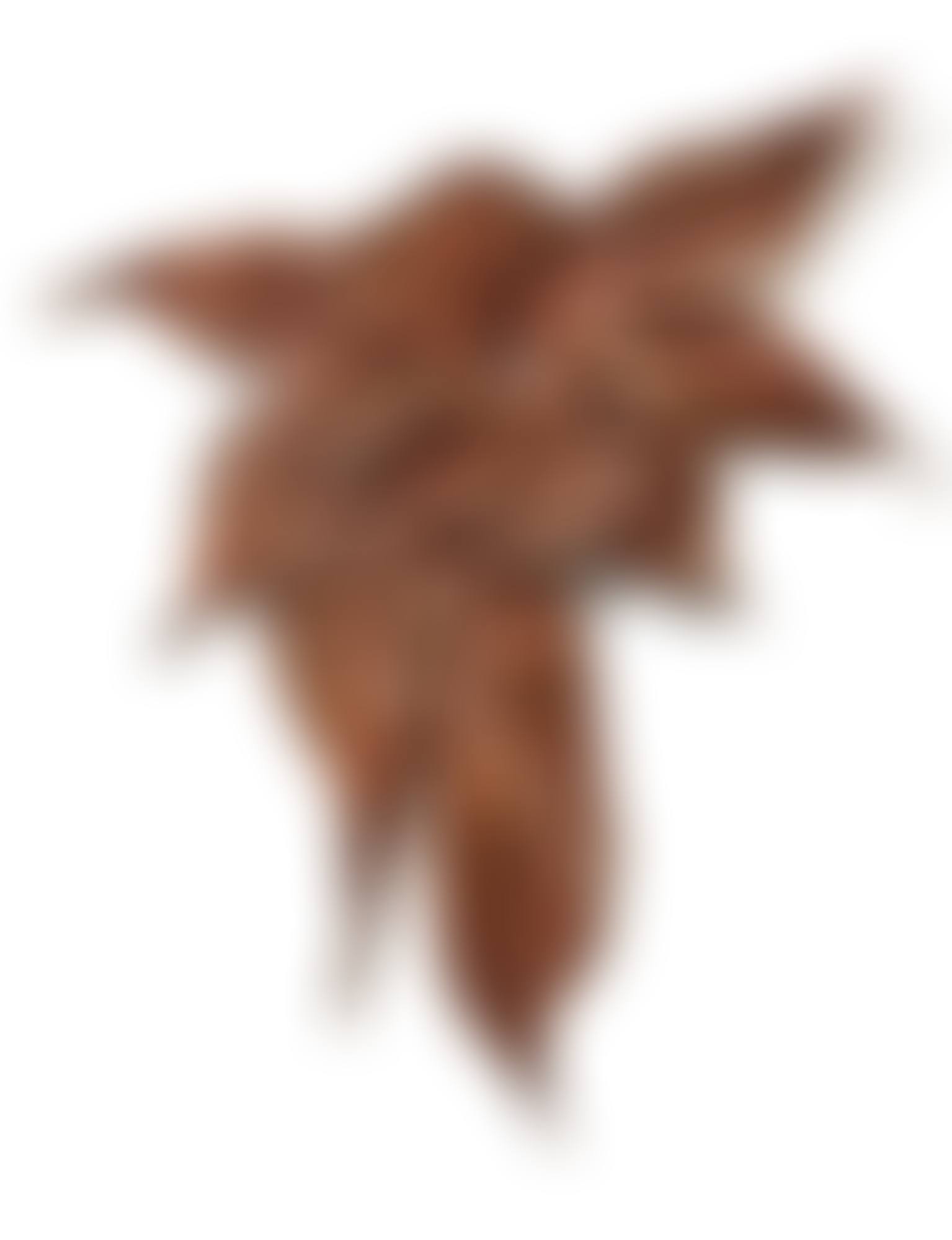 Moretti (preview)