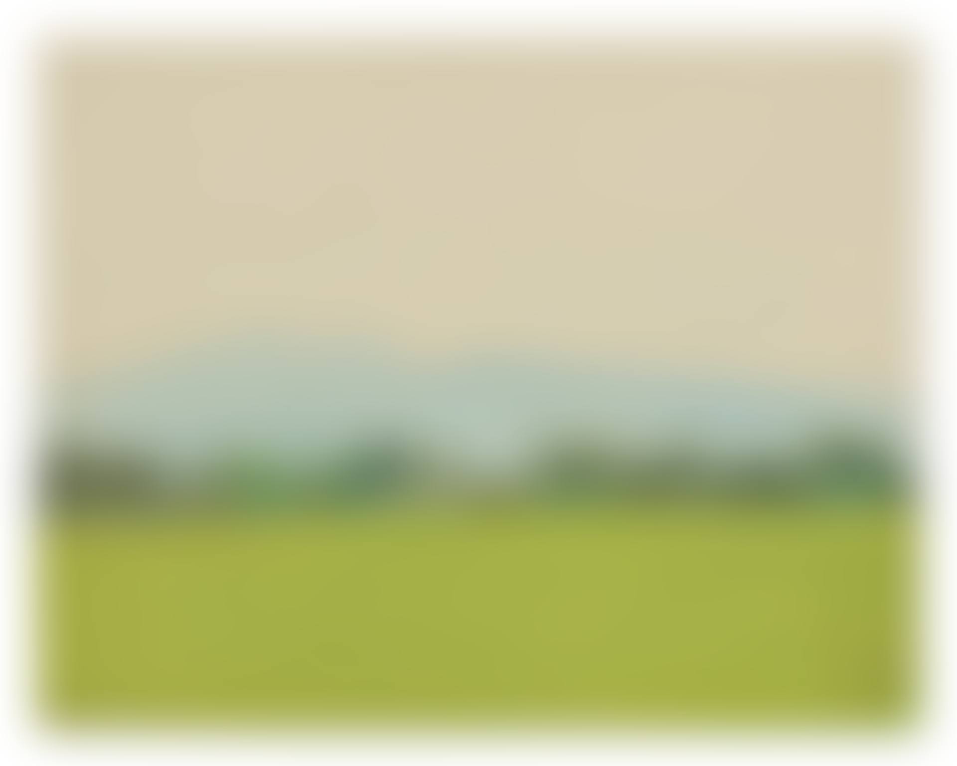 Landscape (preview)