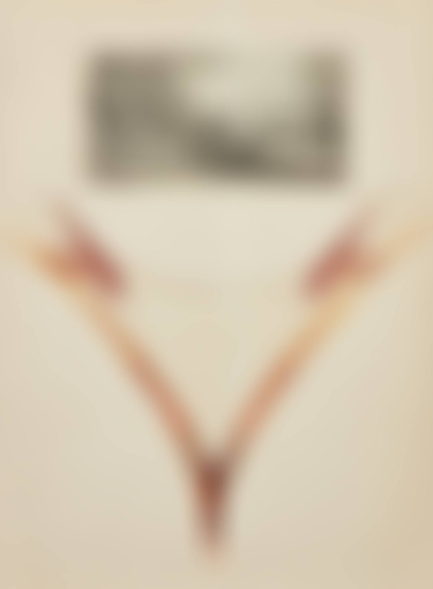 The Garden Party (preview)