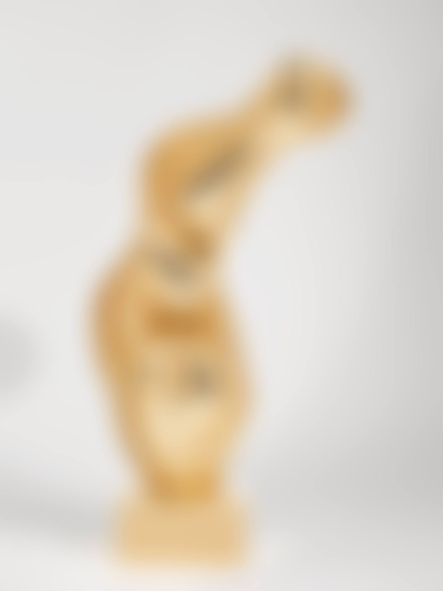 Torse-gerbe (preview)