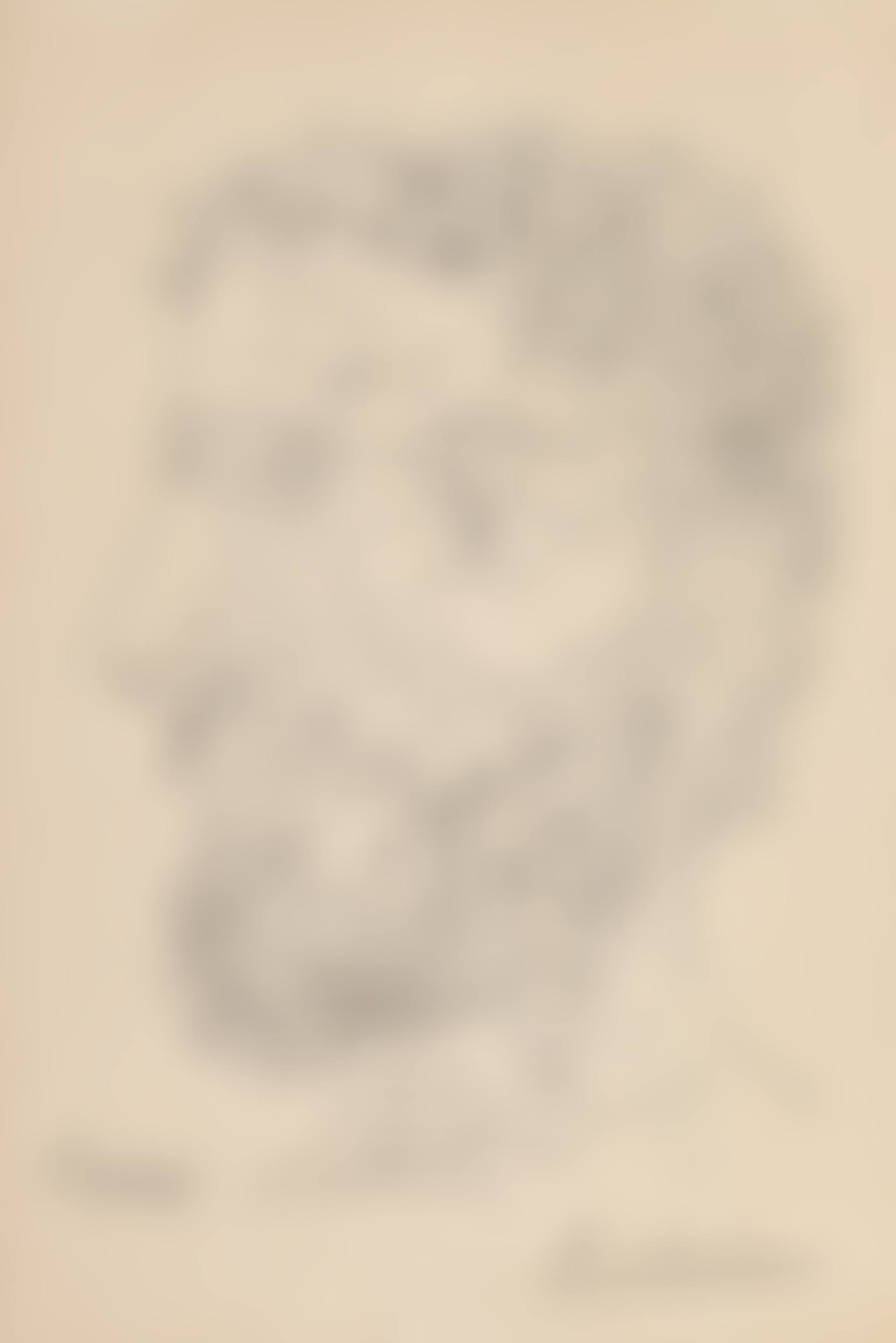 Profil d'homme Barbu (preview)