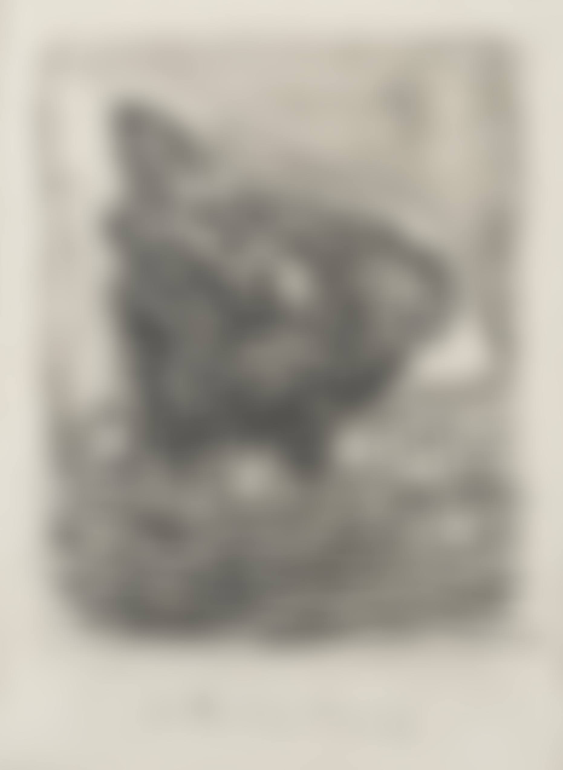 La Mère poule, from Histoire Naturelle (Eaux-fortes originales pour des textes de buffon), 1936 (preview)