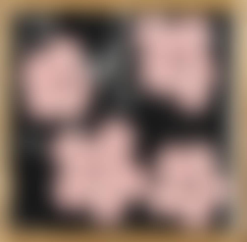 Andy Warhol, Flowers, 1964 (preview)