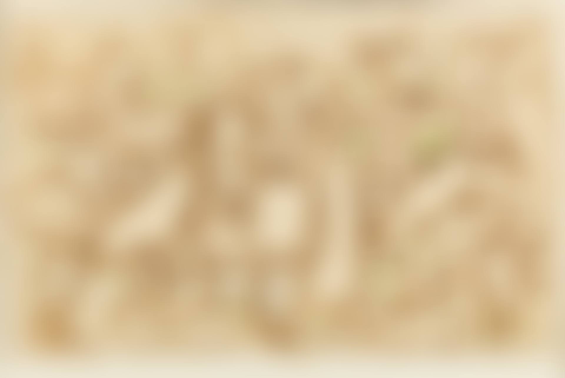 Zerbrechliches Übermütig (preview)
