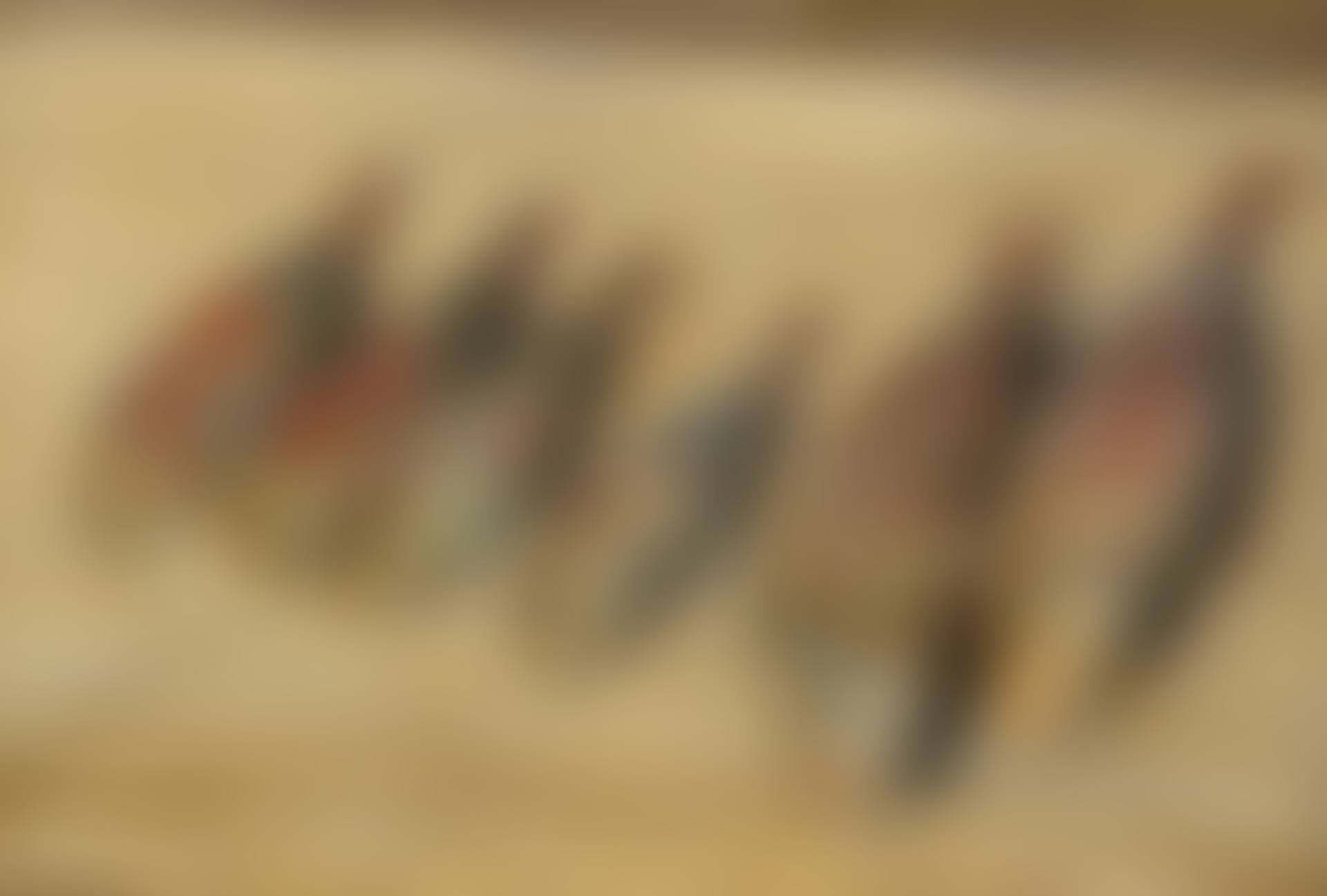 Rougets (preview)