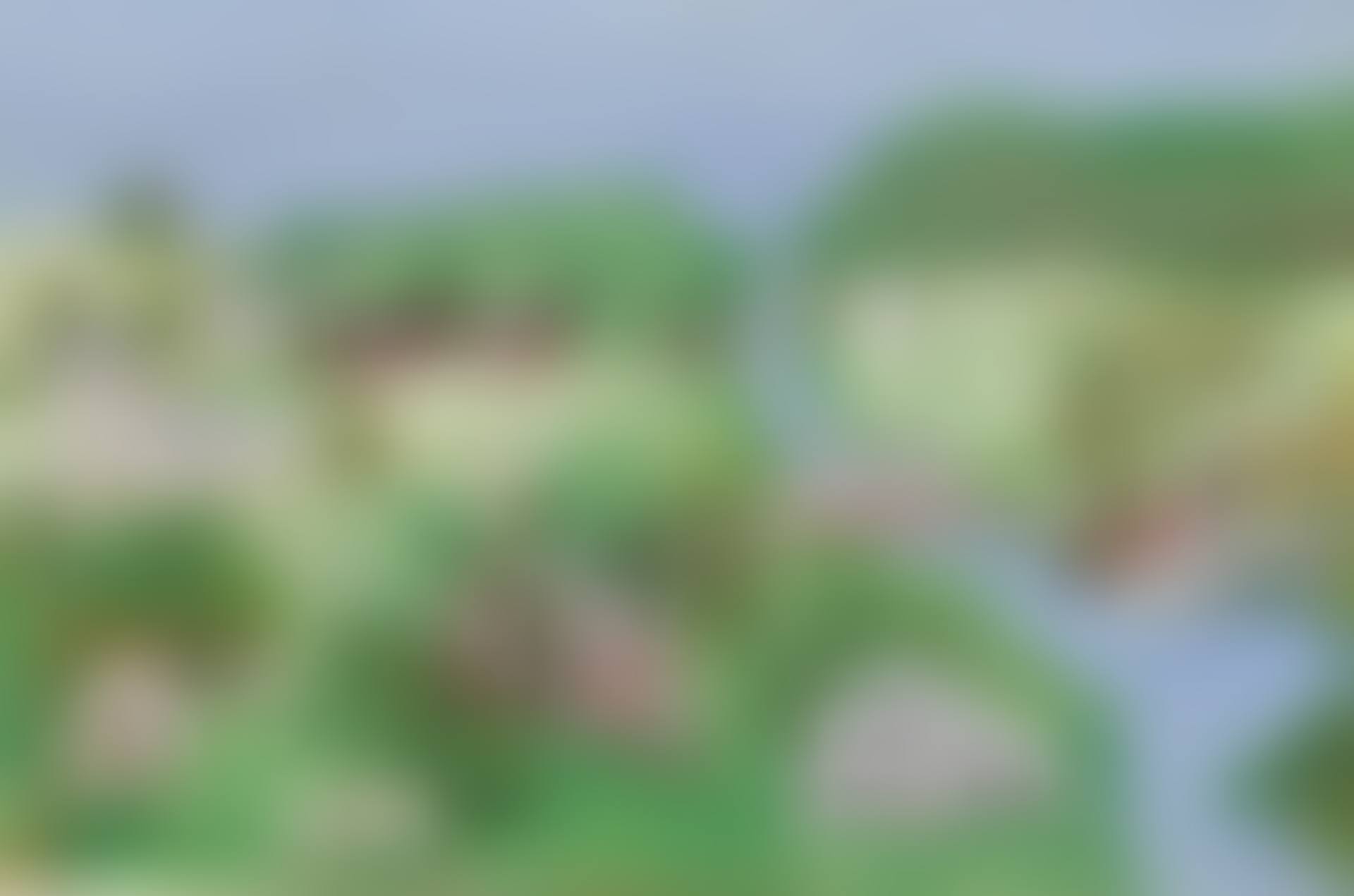 Soft Green (preview)