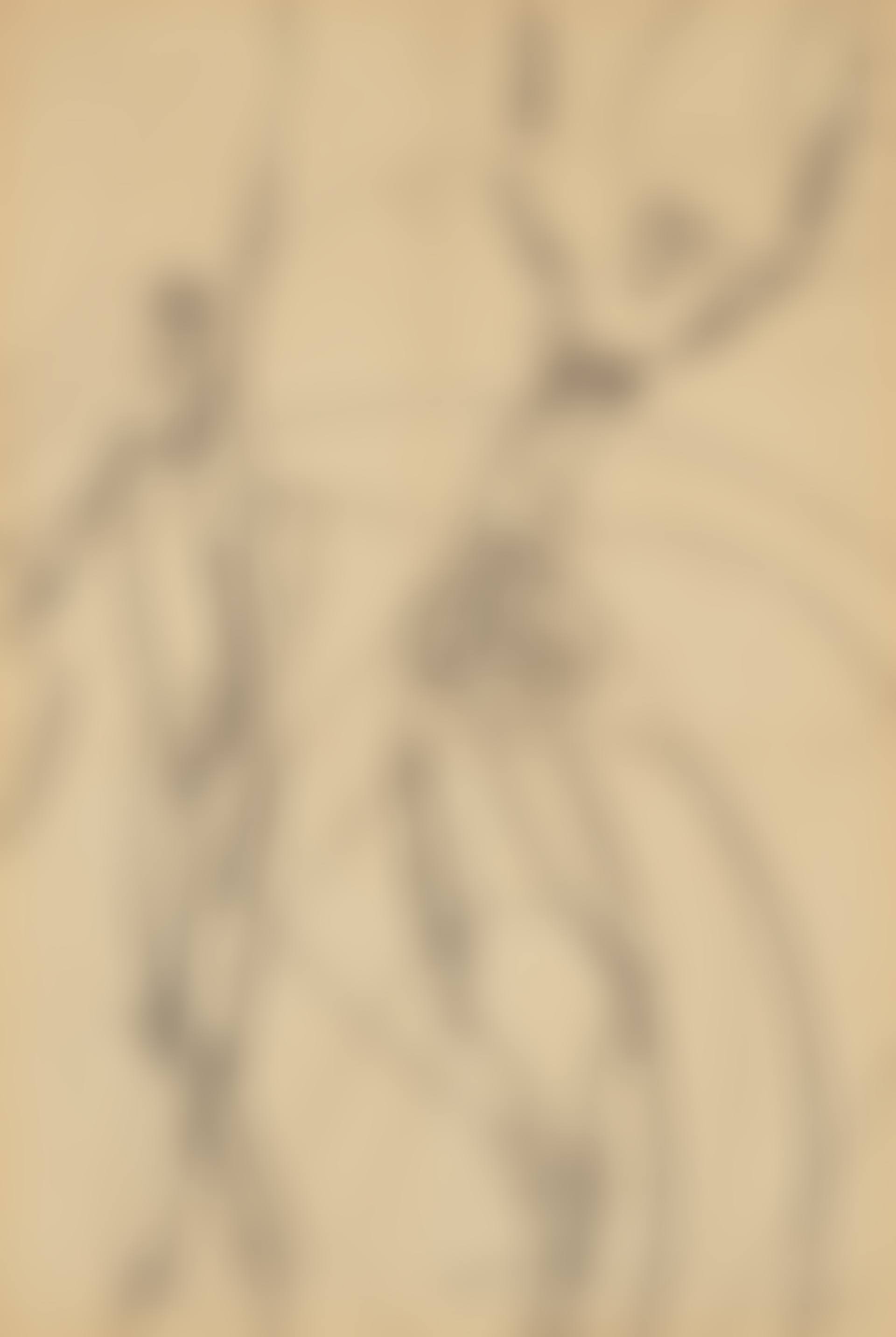 Study for "Dancers under Starry Sky" (preview)