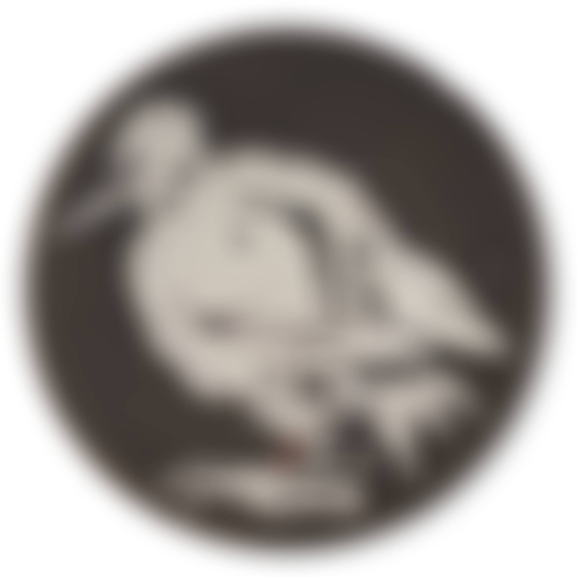 Oiseau no. 76 (A.R. 481) (preview)