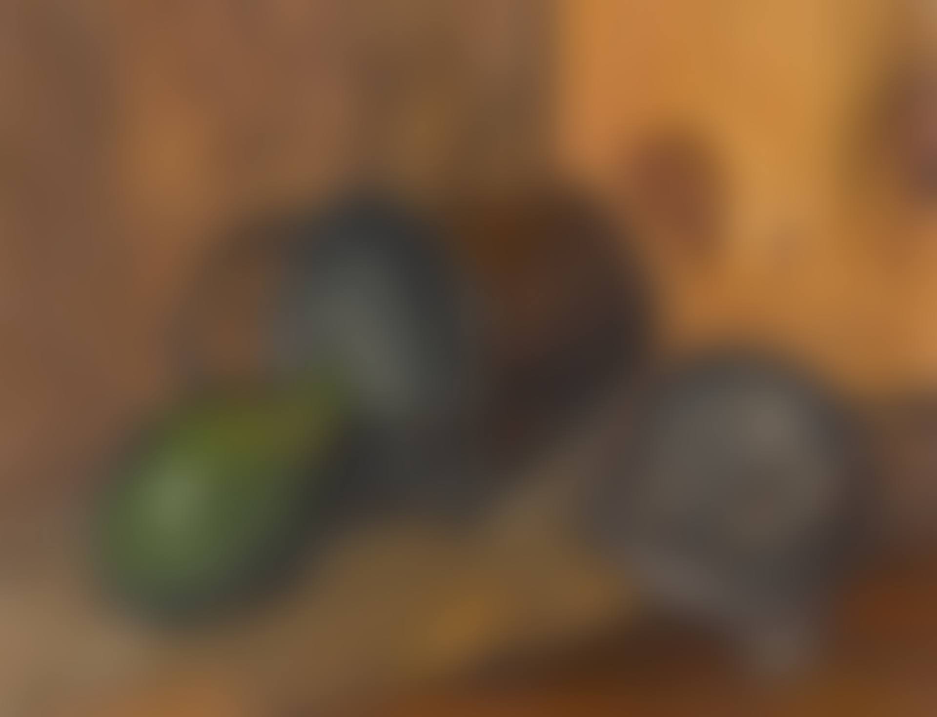 The Alligator Pear (preview)